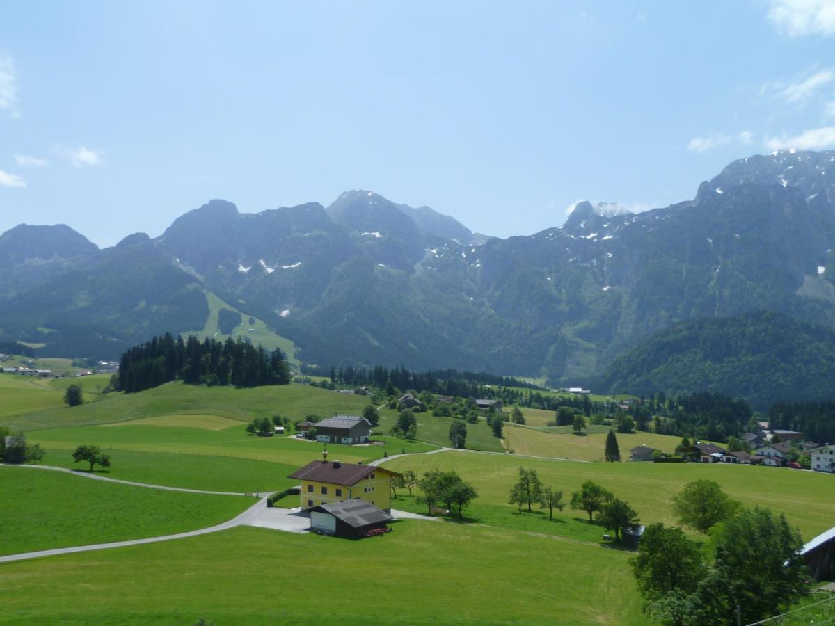 Apartement Obweghof Abtenau, Salzburger Land Exterior photo